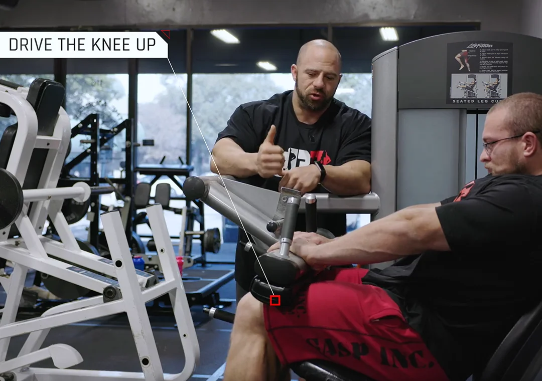 hamstrings